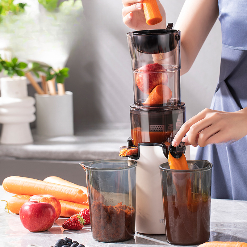 220V Household Electric Slow J - Citrus Juicer Bar 评论和价格