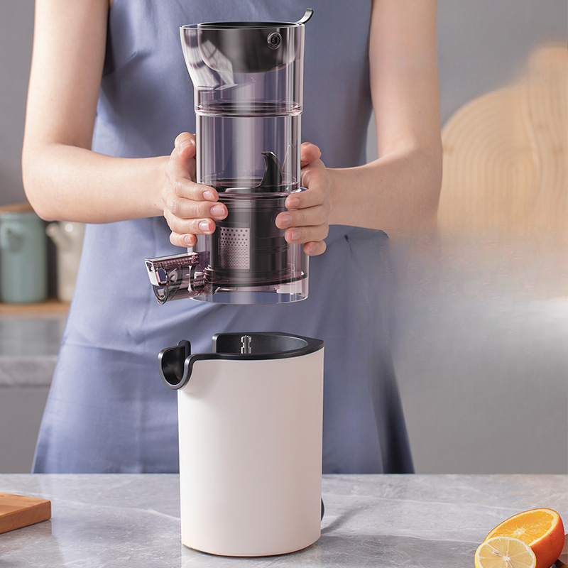 220V Household Electric Slow J - Citrus Juicer Bar 评论和价格